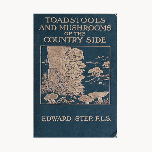 Toadstools and Mushrooms of the Countryside