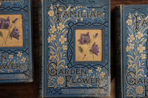 Set of 3 Familiar Garden Flowers by Edward Hulme