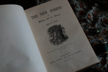 The New Forest and Its History Scenery