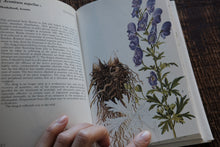 Herbs - A Concise Guide in Color