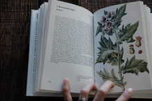 Herbs - A Concise Guide in Color