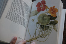 Herbs - A Concise Guide in Color