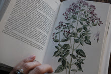 Herbs - A Concise Guide in Color