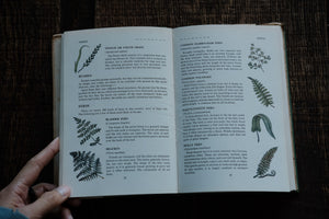 Nature Field Series - Wild Flowers, Grasses, Ferns, Fungi, Trees