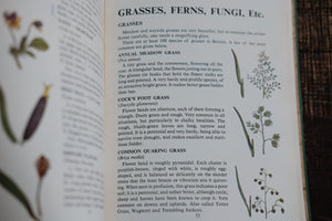 Nature Field Series - Wild Flowers, Grasses, Ferns, Fungi, Trees