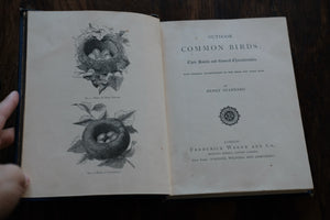 1870s Out Door Common Birds