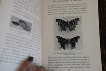 Open book with a black and white photo inside, held by a hand on a wooden surface.