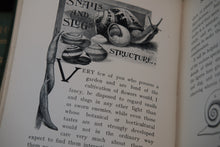 Open book with a black and white illustration