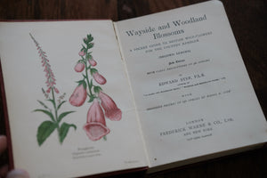 Complete of Set of Wayside and Woodland Blossoms