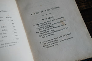 A Book of Wild Things