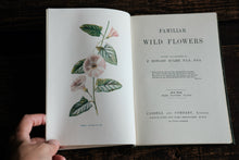 Full set of 8 Familiar Wild Flowers books by Edward Hulme