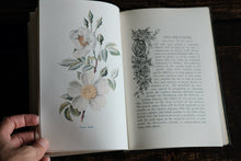 Full set of 8 Familiar Wild Flowers books by Edward Hulme