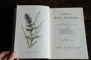 Full set of 8 Familiar Wild Flowers books by Edward Hulme