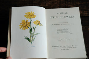 Full set of 8 Familiar Wild Flowers books by Edward Hulme