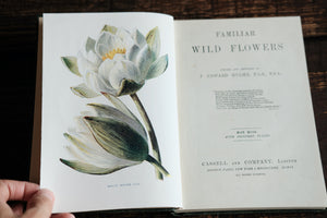 Full set of 8 Familiar Wild Flowers books by Edward Hulme