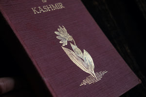 Wild Flowers of Kashmir