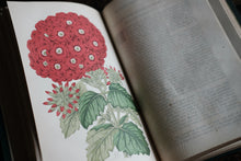 1870s - The Floral World & Garden Guide
