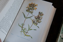 1950s Wild Flowers Book