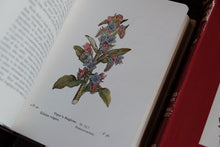 Complete of Set of 3 Wayside and Woodland Blossoms