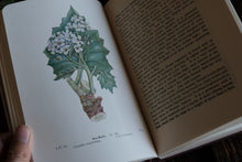 Complete of Set of 3 Wayside and Woodland Blossoms