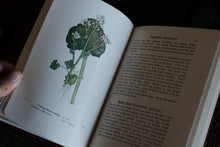 Complete of Set of 3 Wayside and Woodland Blossoms