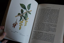 Complete of Set of 3 Wayside and Woodland Blossoms