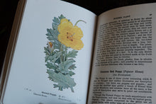 Complete of Set of 3 Wayside and Woodland Blossoms