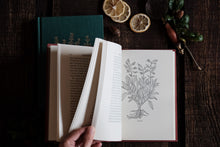 Herbs and the Earth by Henry Beston