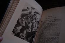 In My Lady's Garden - First Edition