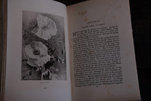 In My Lady's Garden - First Edition
