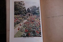 In My Lady's Garden - First Edition