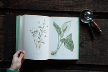 A Book of Wild Flowers by Elsa Felsko