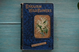 English Wild Flowers