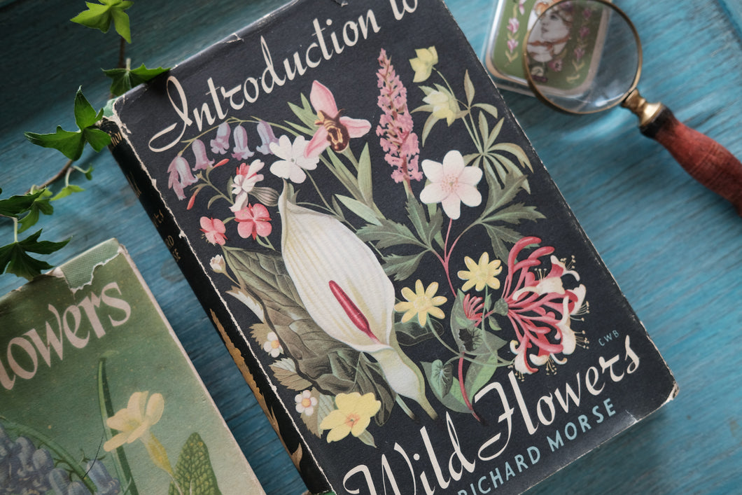 1950s Wild Flowers Book