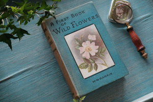 A First Book of Wild Flowers