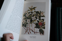 Wild Flower Book by Mrs. William Starr Dana