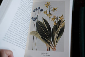 Wild Flower Book by Mrs. William Starr Dana