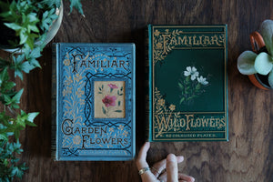Set of 2 Familiar Garden & Wild Flowers by Edward Hulme