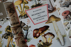 Mushrooms and Toadstools in Color