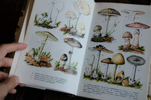 Mushrooms and Toadstools in Color