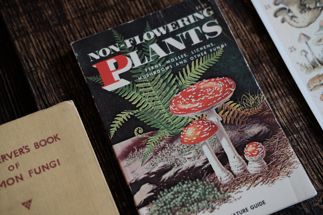 Pocket-sized Mushroom Guide Book