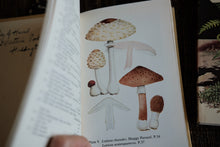 Pocket-sized Mushroom Guide Book
