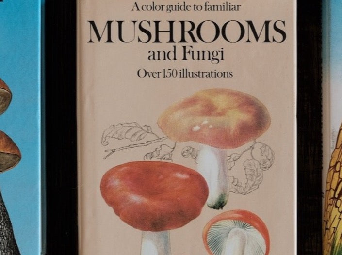 A Color Guide to Familiar Mushrooms and Fungi