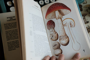 A Color Guide to Familiar Mushrooms and Fungi
