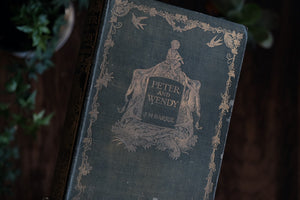 Vintage Edition of Peter and Wendy by J.M. Barrie