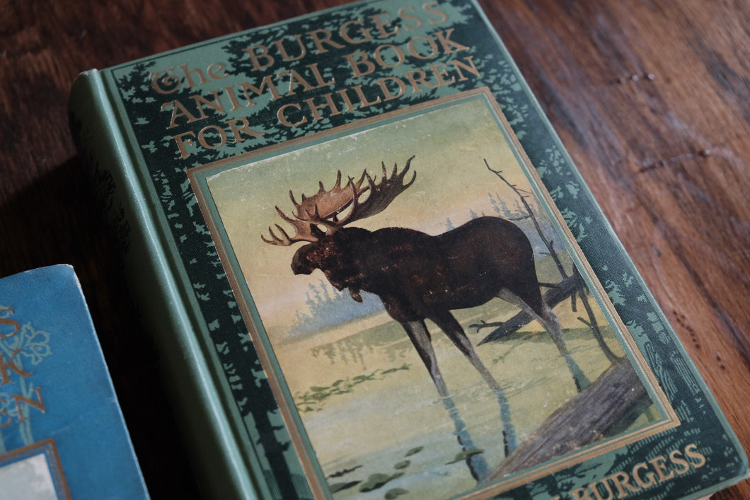 Vintage Book by Thorton W. Burgess
