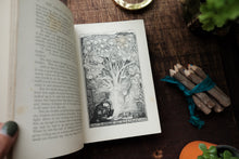 The Pink Fairy Book by Andrew Lang