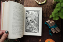 The Pink Fairy Book by Andrew Lang