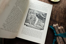 The Pink Fairy Book by Andrew Lang