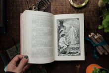 The Pink Fairy Book by Andrew Lang